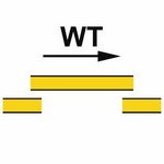 ISO 17631 A.1.11 B-Class Self-Closing Watertight Sliding Fire Door sign — Fire Control Plan (ISO 17631) safety pictogram