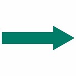 ISO 17631 A.3.1 Primary Escape Route sign — Fire Control Plan (ISO 17631) safety pictogram