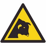 ISO 7010 W034 Warning: Bull sign — Warning / Hazard safety pictogram
