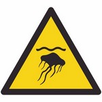 ISO 7010 W069 Warning: Jellyfish sign — Warning / Hazard safety pictogram
